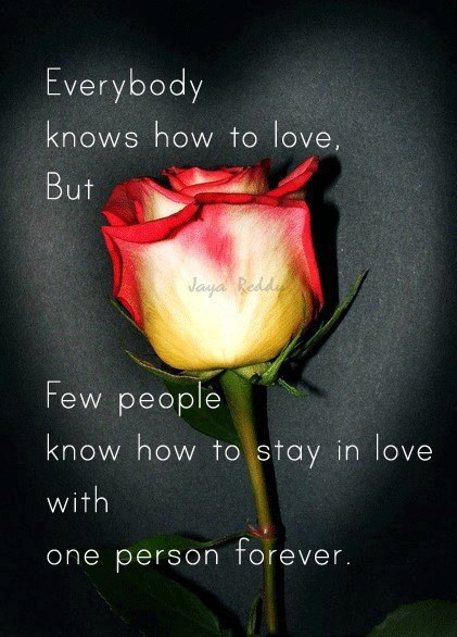 Everybody Knows HOw TO Love But ...