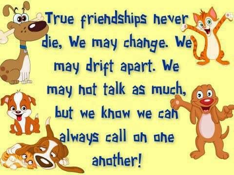 True Friendship Never Die