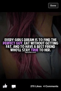 Every Girls Dream Is To Find The Pefect Guy