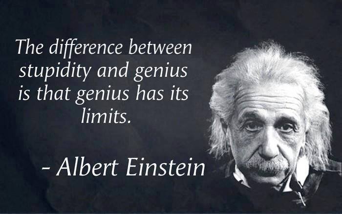 The Difference Between Stupidity and Genius