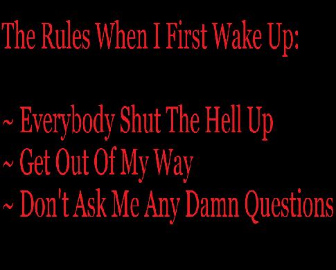 The Rules When I First Wake Up