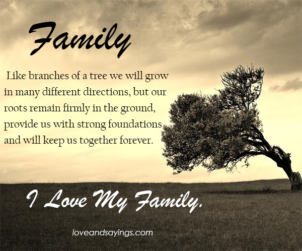 The tree of family...