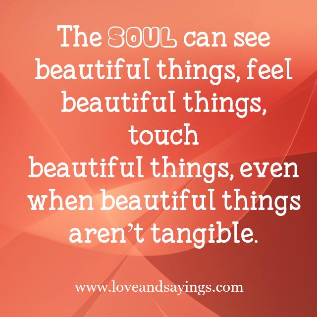 Soul Can See Beautiful Things