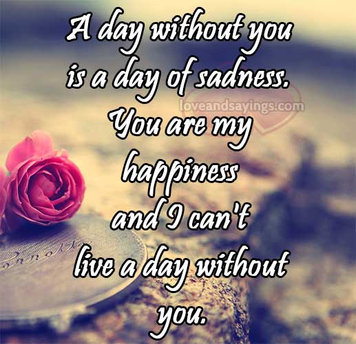 A Day Without You