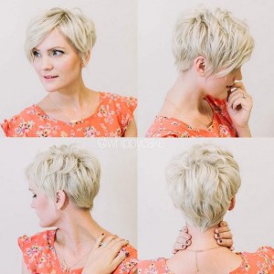 Hairstyle for Short Hair