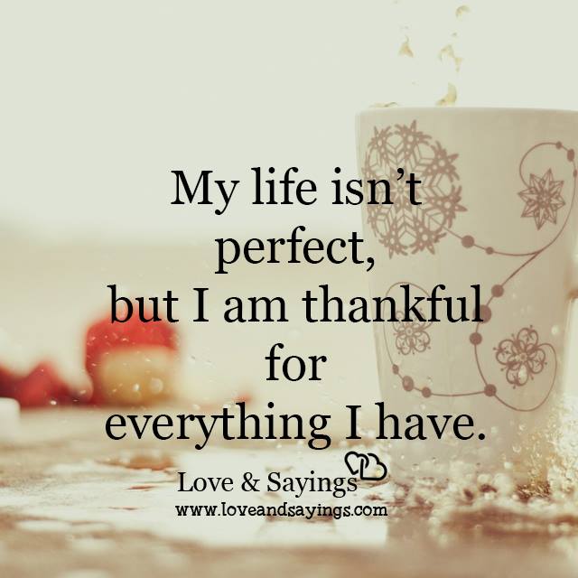I am thankful for everything I have